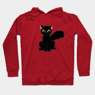 Fluffy Black Cat Hoodie